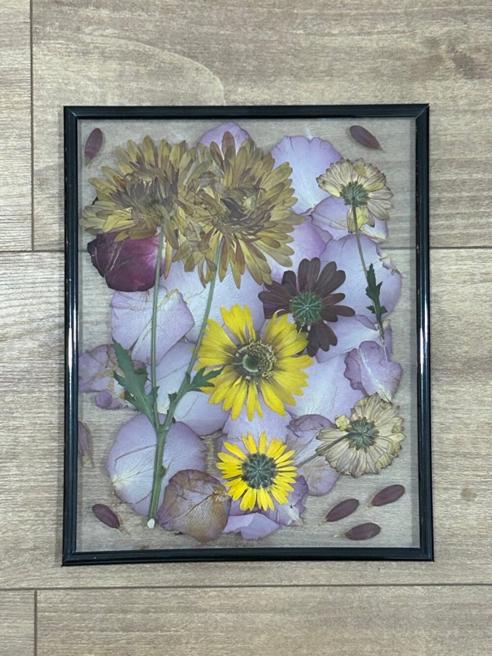 Pressed Flower Original Artwork in Float Frame